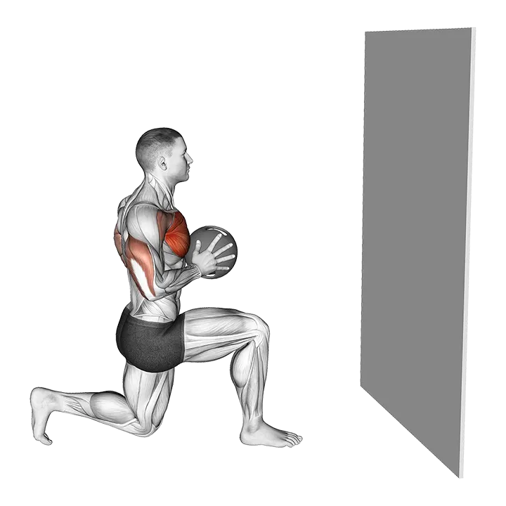 Medicine Ball Half Kneeling Chest Push exercise animation (Male)