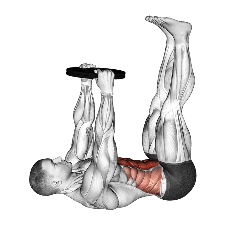 Weighted Straight Leg Toe Touch Crunch exercise animation (Male)