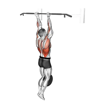 Weighted Chin-Up