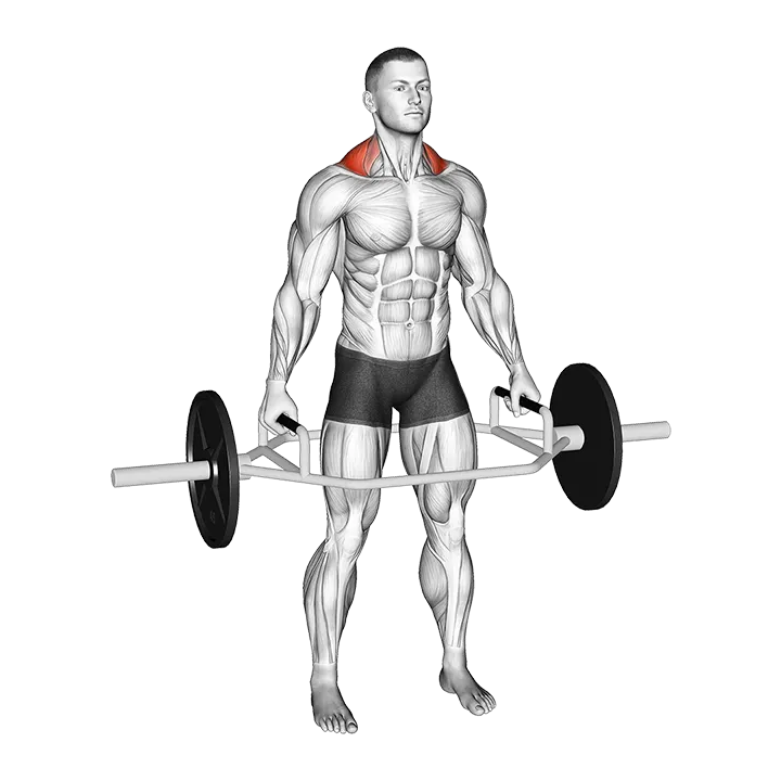 Trap Bar Standing Shrug exercise animation (Male)
