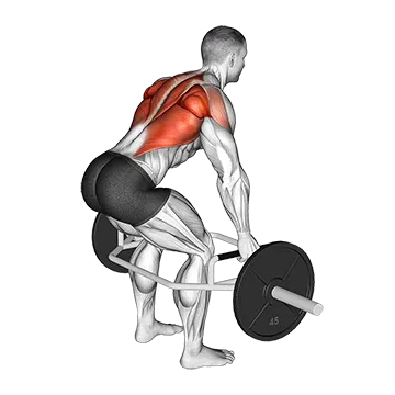 Trap Bar Bent Over Row