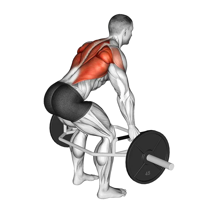 Trap Bar Bent Over Row exercise animation (Male)
