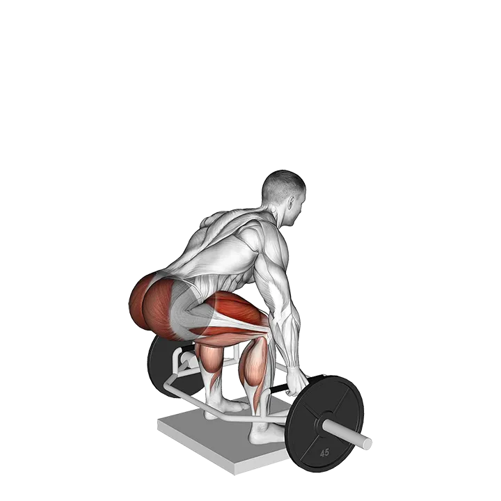 Trap Bar Deadlift from Deficit exercise animation (Male)