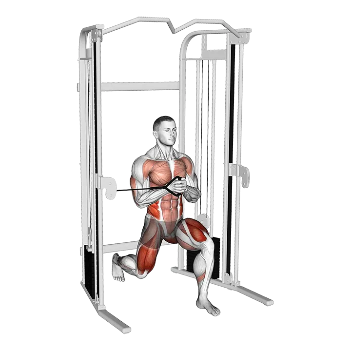 Cable Split Stance Horizontal Pallof Press exercise animation (Male)