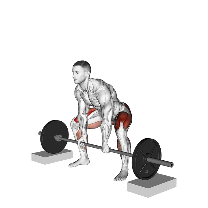 Barbell Sumo Deadlift from Blocks exercise animation (Male)