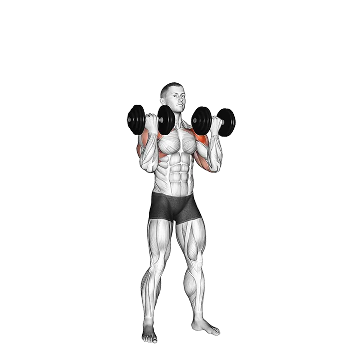 Dumbbell Standing Arnold Press exercise animation (Male)