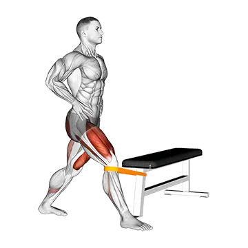 Resistance Band Adduction Split Squat