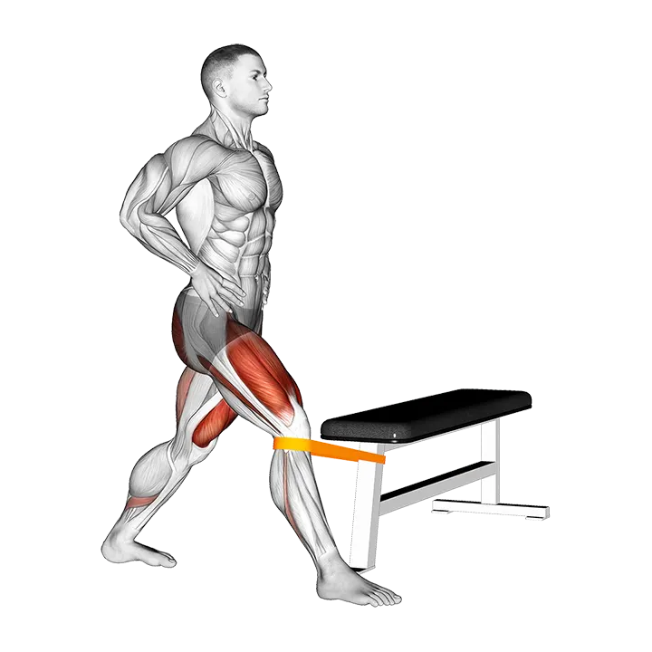 Resistance Band Adduction Split Squat exercise animation (Hombre)
