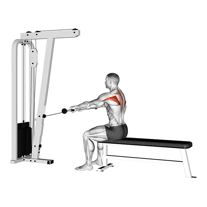 Cable Seated Horizontal Shrug exercise animation (Male)