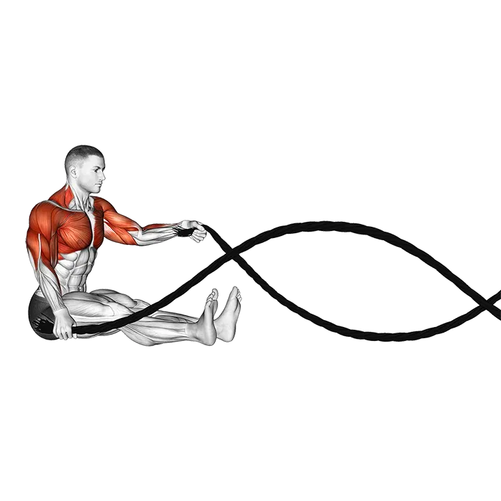 Battling Ropes Seated exercise animation (Male)