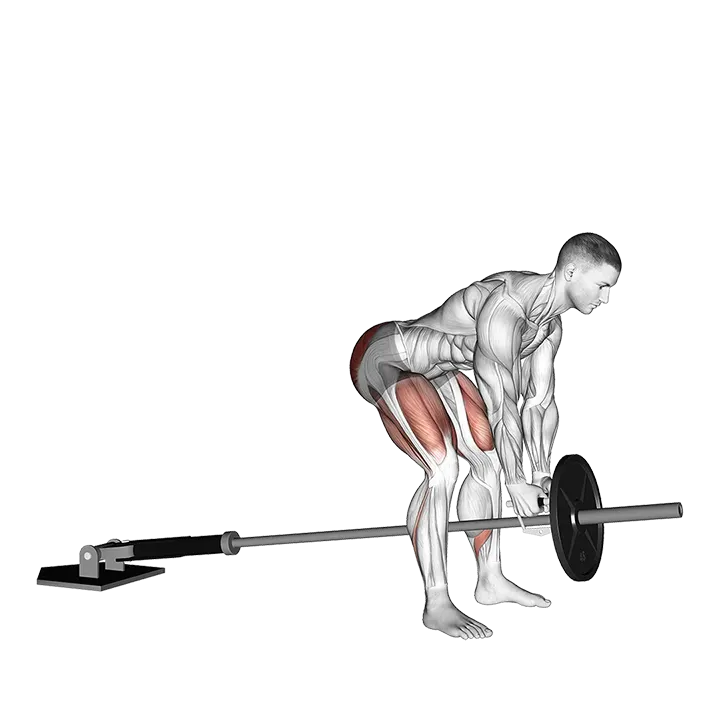 Landmine Romanian Deadlift exercise animation (Hombre)