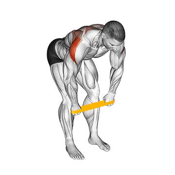 Resistance Band Bent Over Rear Delt Fly