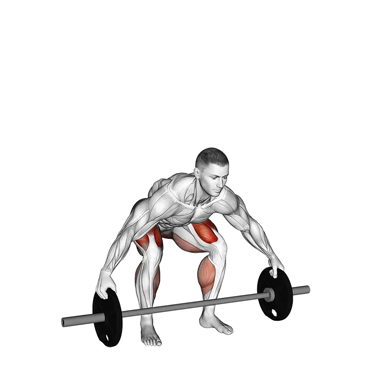 Barbell Reeves Deadlift exercise animation (Male)