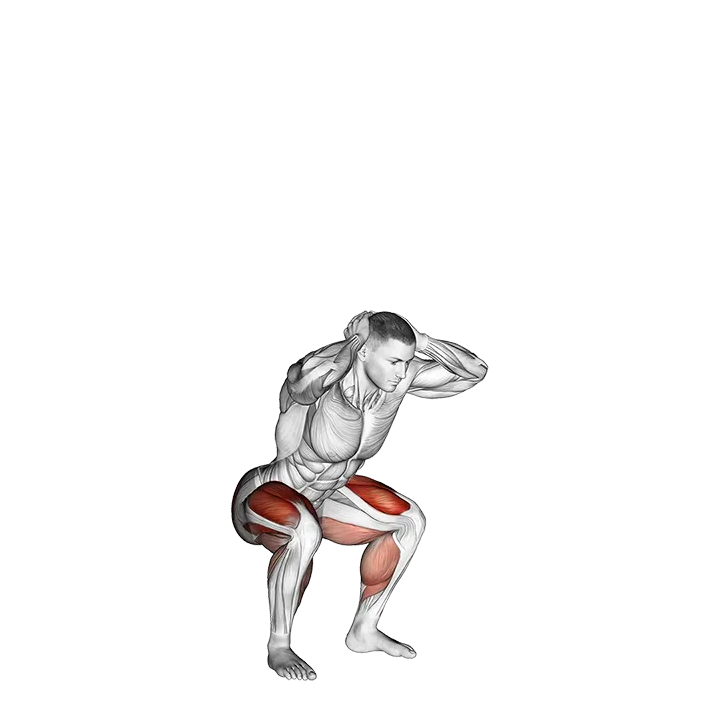 Prisoner Jump Squat exercise animation (Male)