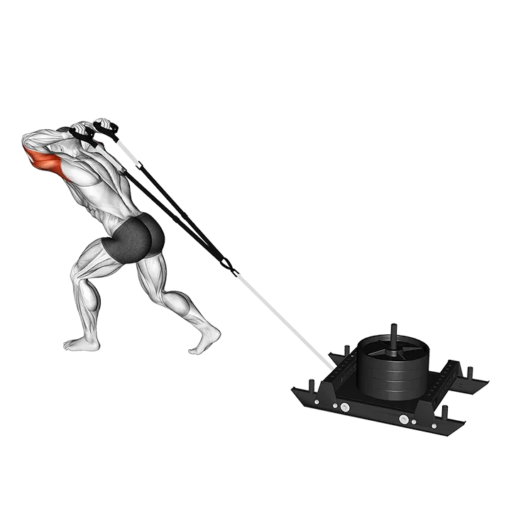 Power Sled Triceps Extension exercise animation (Male)