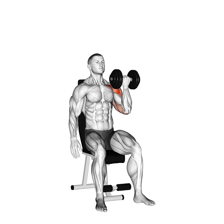 Dumbbell Seated One Arm Arnold Press exercise animation (Male)