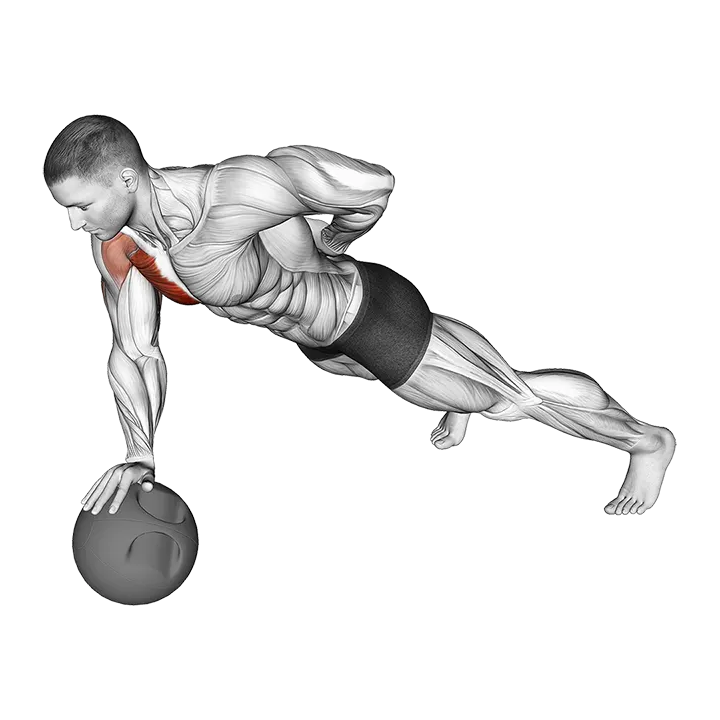 Single Arm Push-Up on Medicine Ball exercise animation (Male)