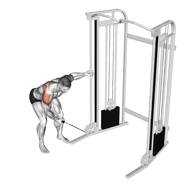 Cable One Arm Reverse Fly exercise animation (Male)