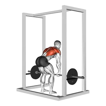Barbell Deadstop Row with Rack