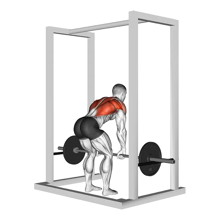 Barbell Deadstop Row with Rack exercise animation (Male)