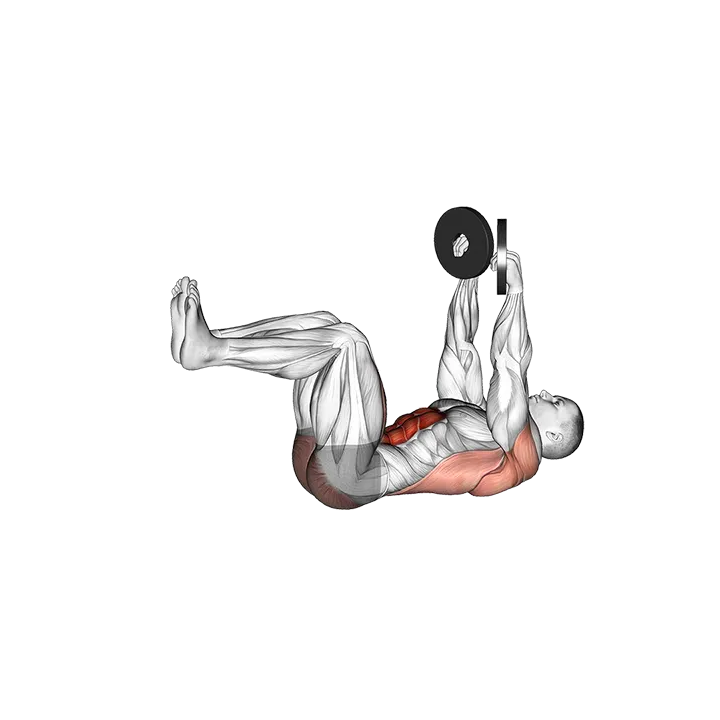 Weighted Dead Bug exercise animation (Male)