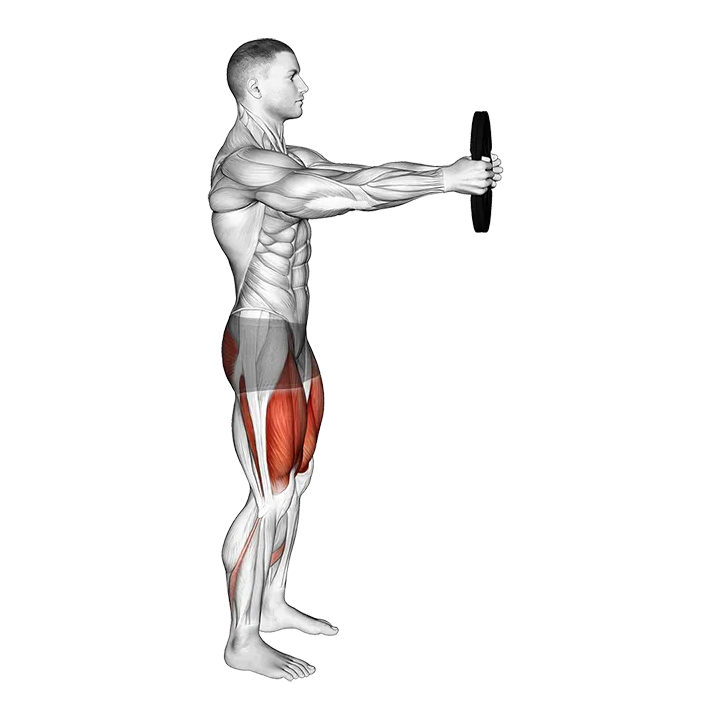 Weighted Counterbalanced Squat exercise animation (Male)