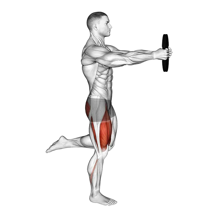 Weighted Counterbalanced Skater Squat exercise animation (Male)