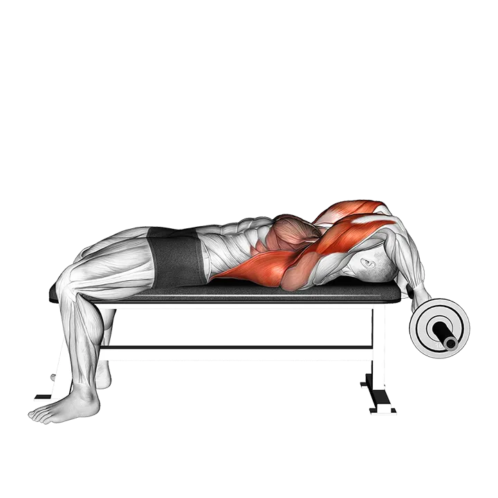 EZ Bar California Skullcrusher exercise animation (Male)