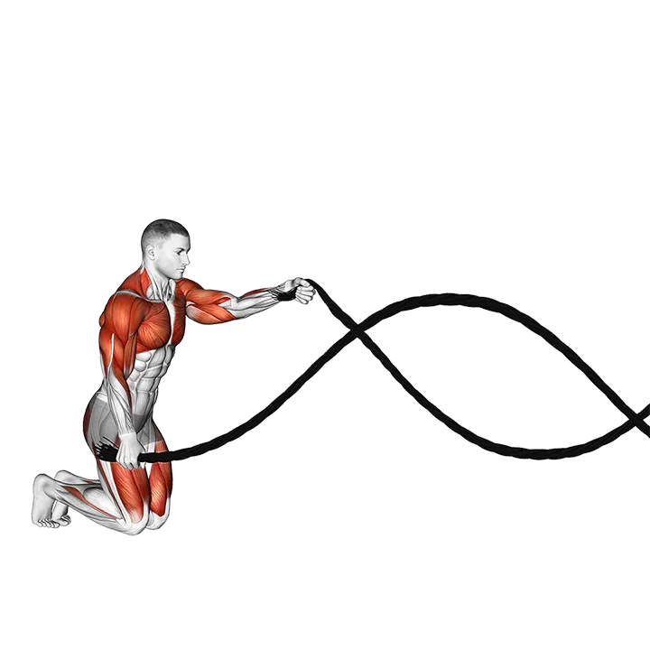 Battling Ropes Alternating Waves with Kneeling Get-Up exercise animation (Male)