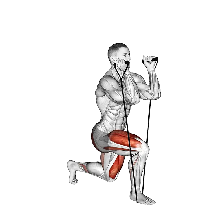 Band Split Squat exercise animation (Male)