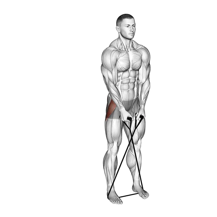 Band Cross Abduction exercise animation (Male)