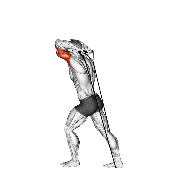 Band Overhead Triceps Extension (VERSION 2) exercise animation (Male)