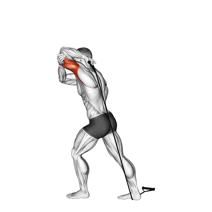 Band Overhead Single Arm Triceps Extension (VERSION 2) exercise animation (Male)