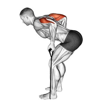 Band Triceps Kickback