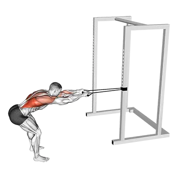 Band Bent Over Lat Pulldown