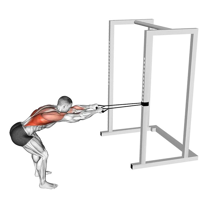 Band Bent Over Lat Pulldown exercise animation (Male)