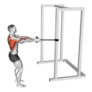 Band Close Grip Row
