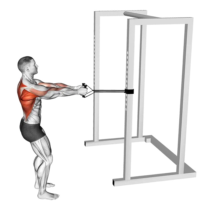 Band Close Grip Row exercise animation (Male)