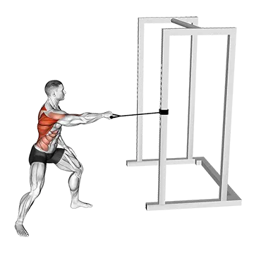 Band Standing Single Arm Twist Row