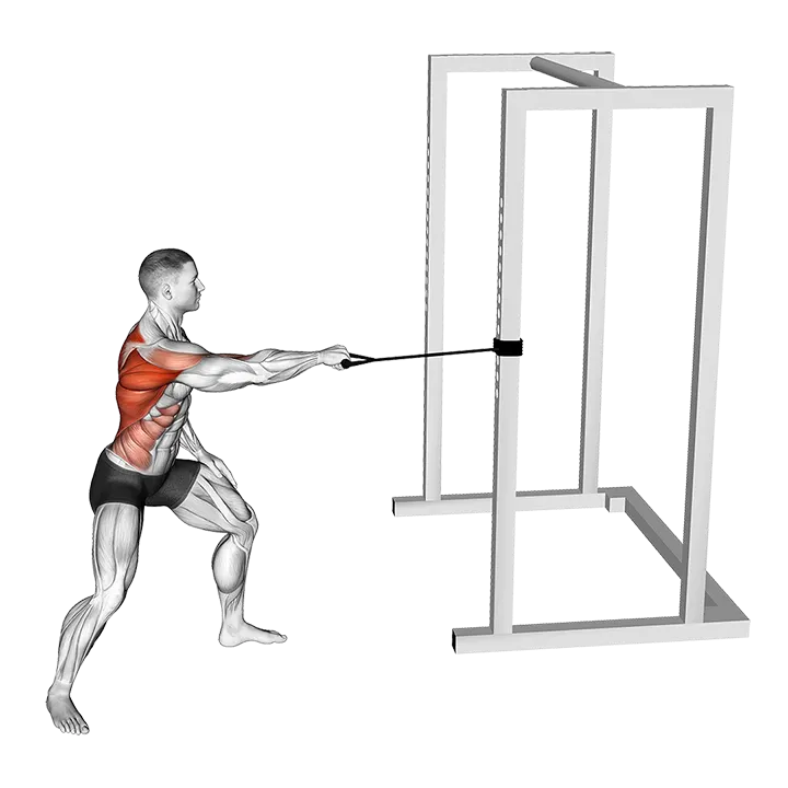 Band Standing Single Arm Twist Row exercise animation (Male)
