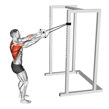 Band Narrow Grip High Row