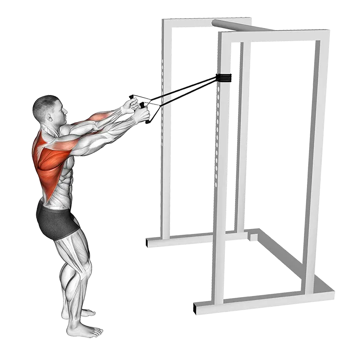 Band Narrow Grip High Row exercise animation (Male)