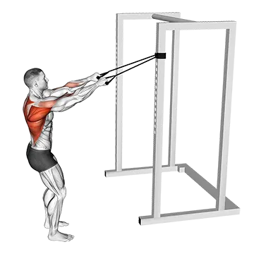 Band Narrow Grip High Row (VERSION 2)