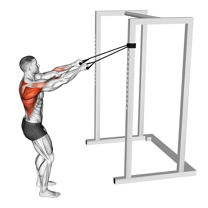 Band Narrow Grip High Row (VERSION 2) exercise animation (Male)