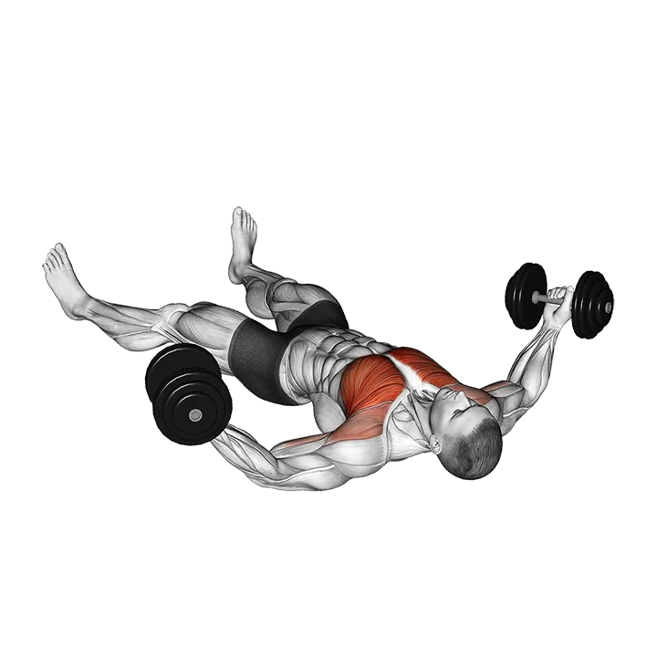 Dumbbell Floor Fly exercise animation (Male)