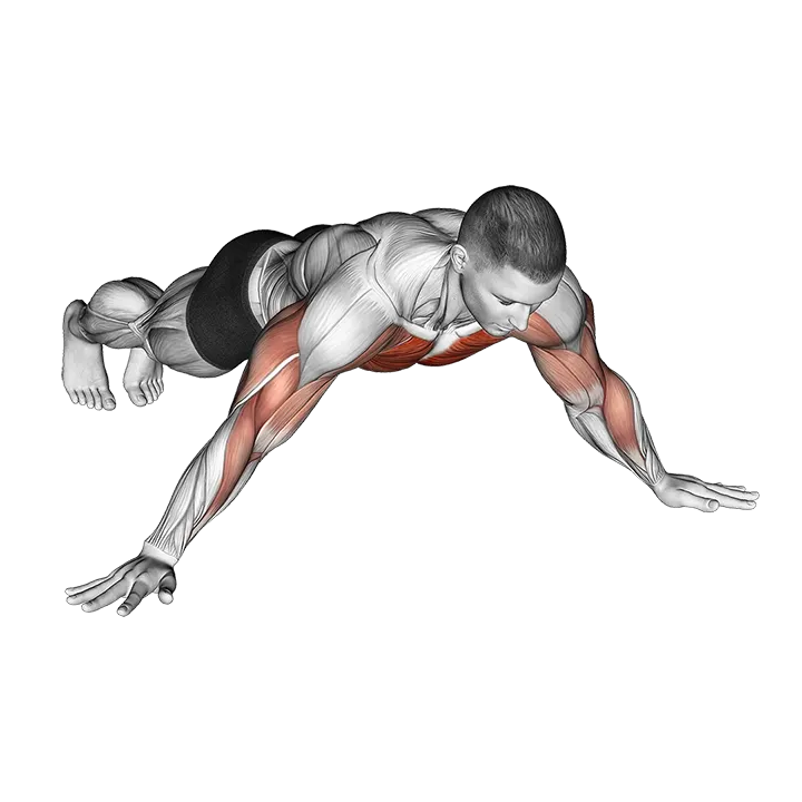 One Side Archer Push-up exercise animation (Male)