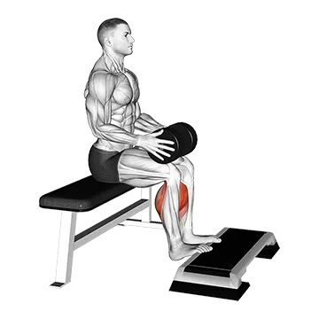 Weighted Seated Calf Raise