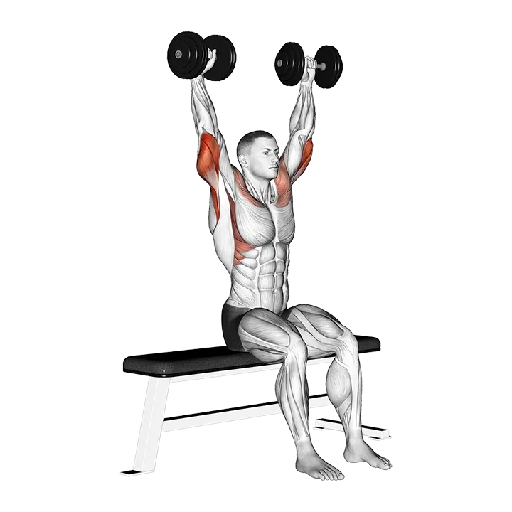 Dumbbell Seated Front and Back Tate Press exercise animation (Male)
