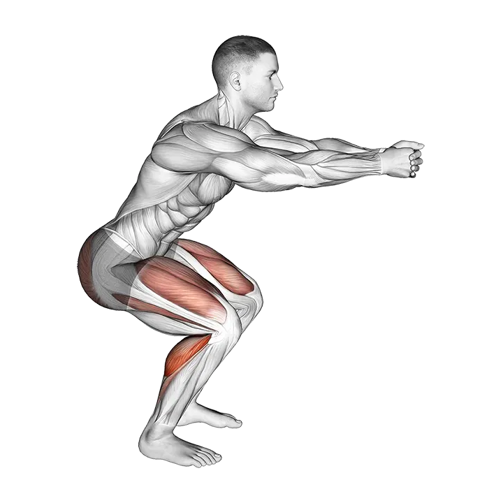 Squat Hold Calf Raise exercise animation (Hombre)
