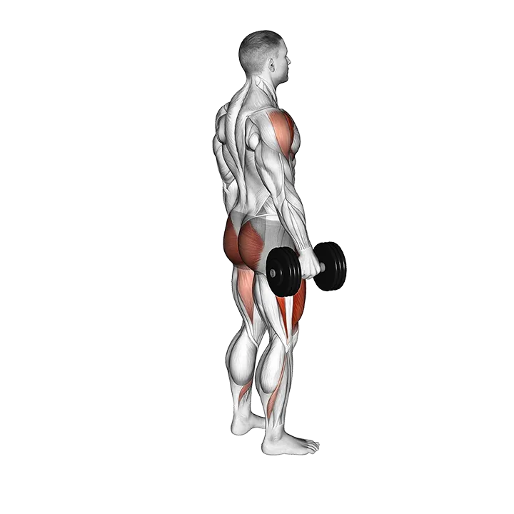 Dumbbell Rear Lunge Front Raise exercise animation (Male)
